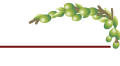 Stefano's Grill